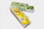 Citrus 12002 Cardboard Tray NNZ USA