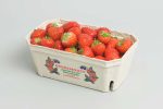 Berries 11001 Pulp Tray NNZ DE[1]