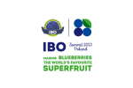 Logo IBO Summit